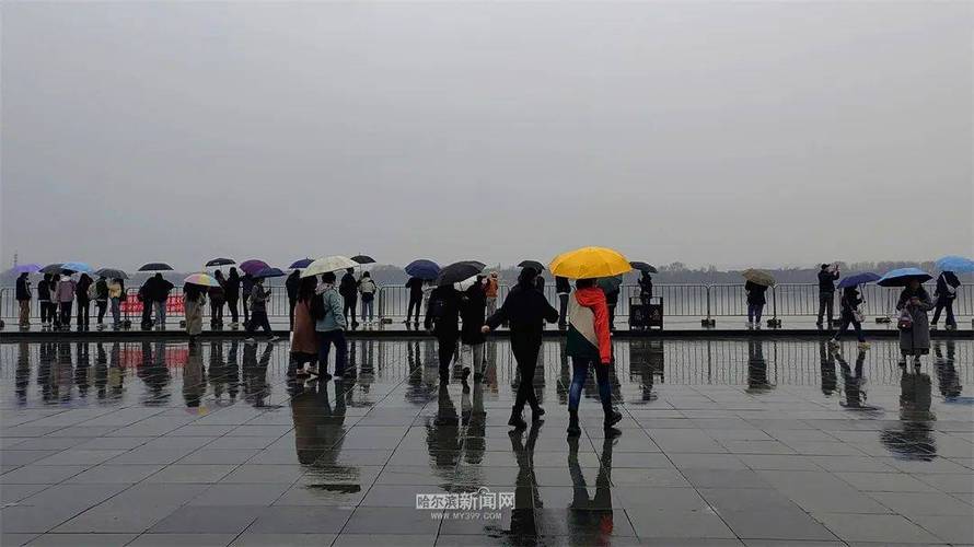 黑龙江省绥芬河市发布大雾黄色预警_3