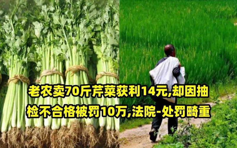 转卖芹菜赚14元被罚10万,这样的处罚合理吗?