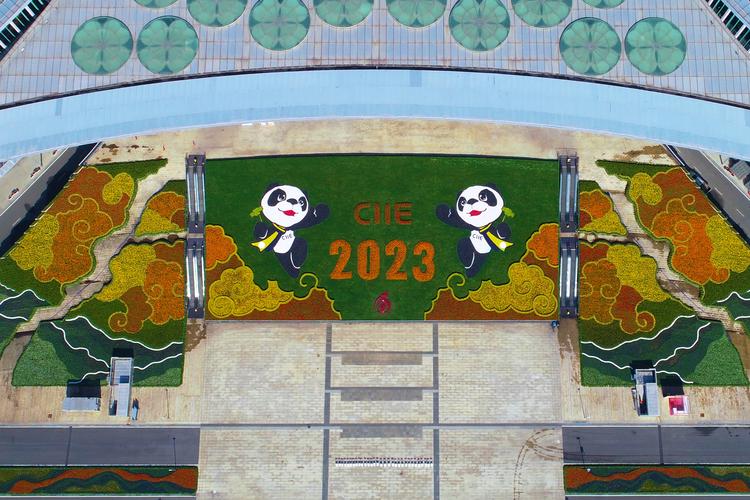 第七届进博会丨空中俯瞰“四叶草”