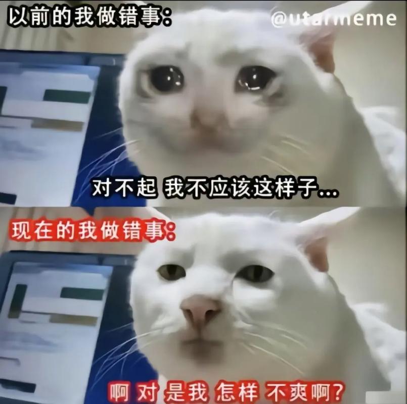 波神:生病令人非常沮丧 我完全不知道自己得了什么病
