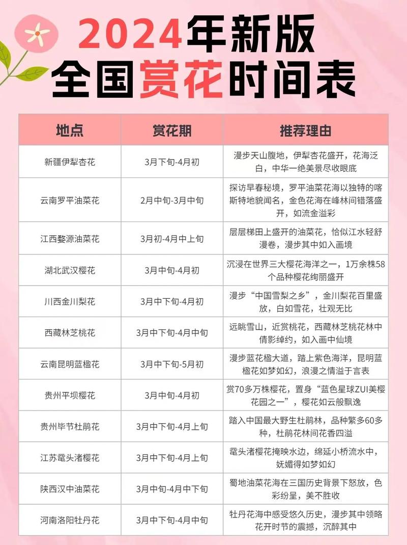 花海催热美丽经济 “陪拍”消费形式升温