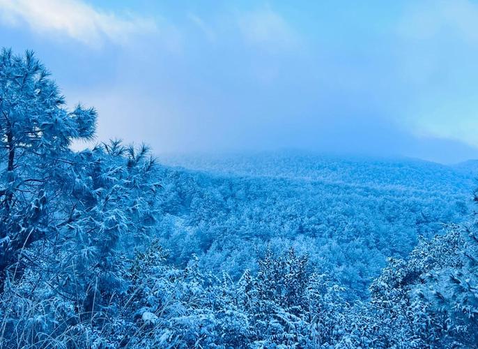 福州迎来2024年初雪!看雪需注意安全