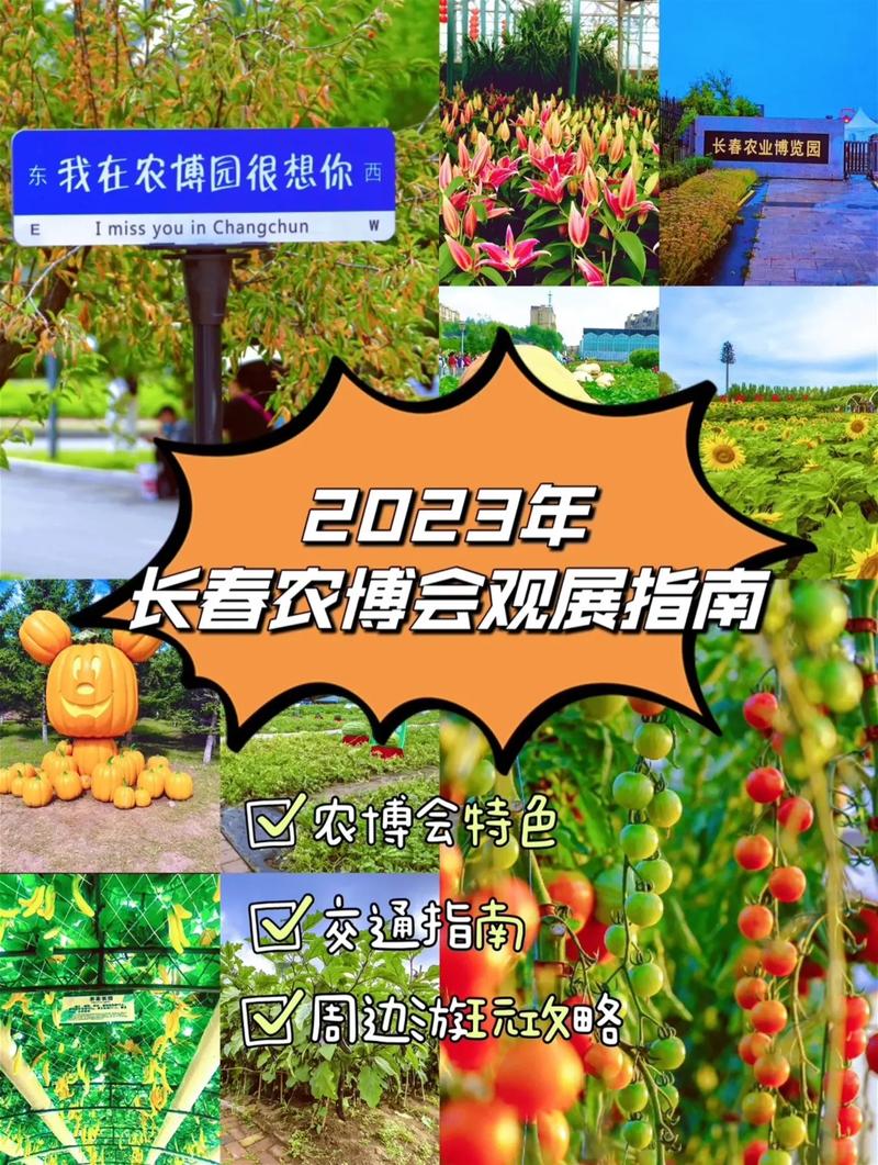 长春农博会科普大集活动8月16日开启,“科技小院”建设成果展等你来参观