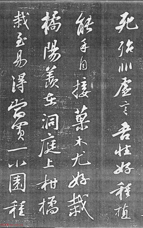 繁花作碑,枕浪而眠:“生态葬”渐成新风尚