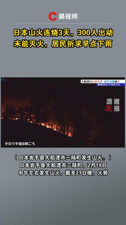 日本神奈川县发生多起火灾 已致3人伤亡