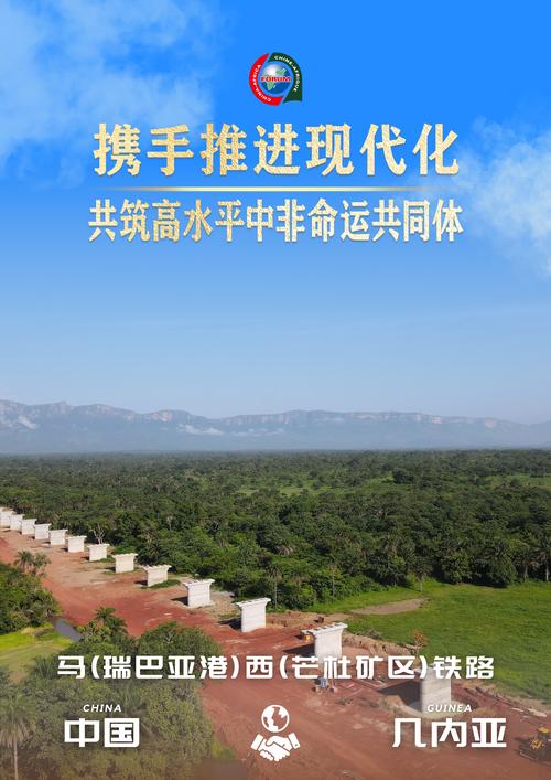 让中医文化在突尼斯落地生根 她用仁心仁术架起中非友谊桥梁