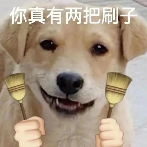“这辈子没有打扫这么干净过”,她们说里里外外都刷了,没想到还是……