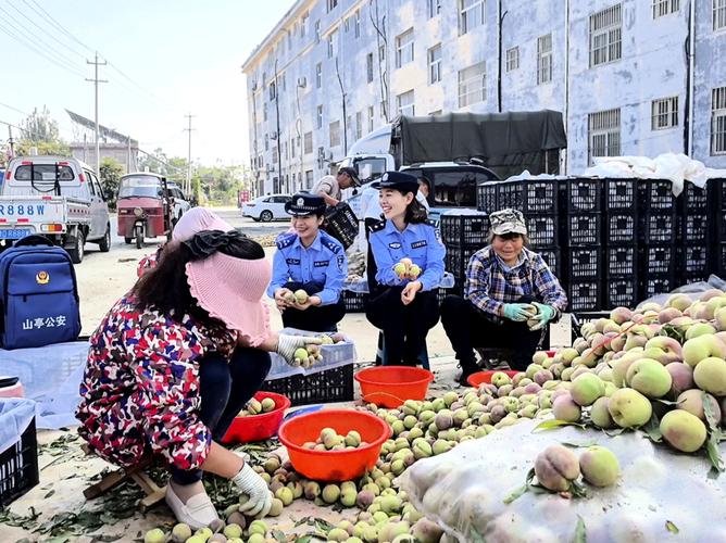 道县:抢抓时节 为黄桃穿上防虫“衣”
