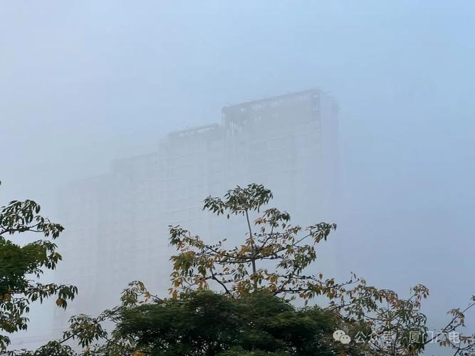 黑龙江省庆安县发布大雾黄色预警