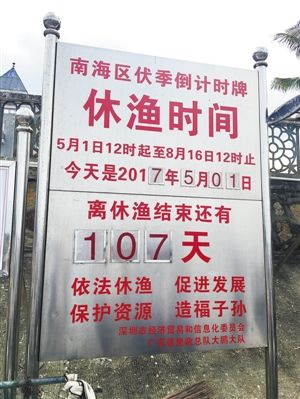 今日12时起 正式进入伏季休渔期!
