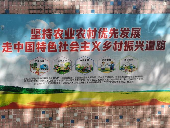 (乡村行·看振兴)江西都昌:多元化产业让村集体经济“壮起来”