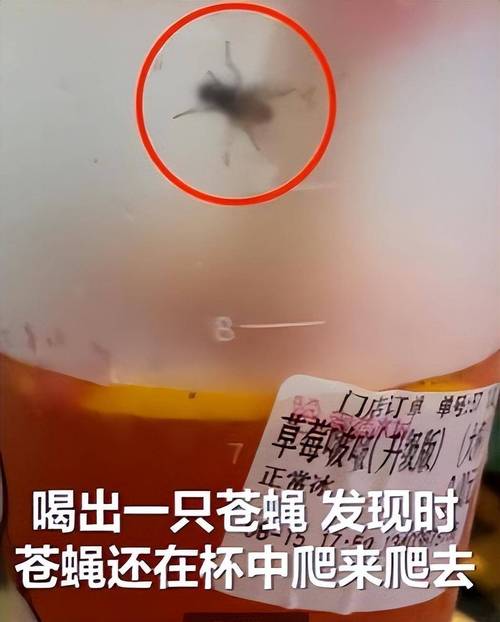知名奶茶又出事!网友:好恐怖