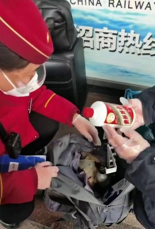 警探号|元旦假期北京铁警共帮旅客找回10万余元遗失物品 打击处理违法行为人11名