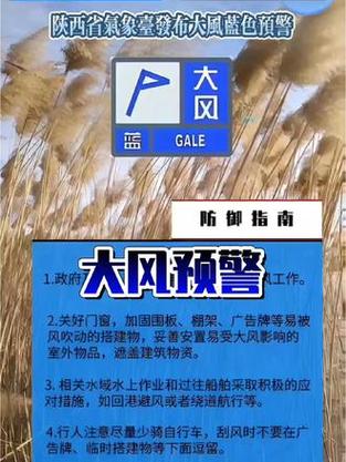 陕西省泾阳县发布大风蓝色预警_5