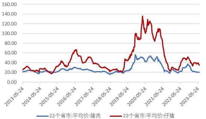 仔猪价格持续上涨 深圳肉价水涨船高