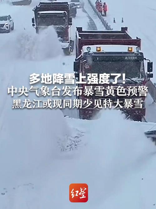 浙江省景宁畲族自治县发布暴雪黄色预警