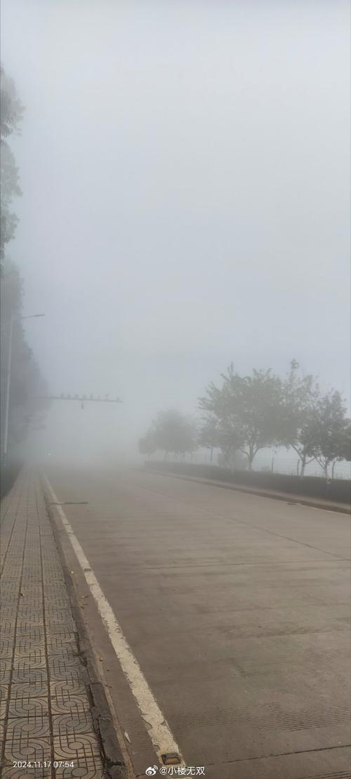 能见度不足50米!湖南等11省市部分地区有大雾