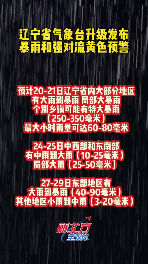 辽宁省丹东市发布雷电黄色预警_2