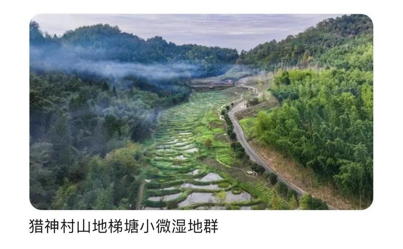 (乡村行·看振兴)吉林梨树废矿坑变身“小天池”引客来